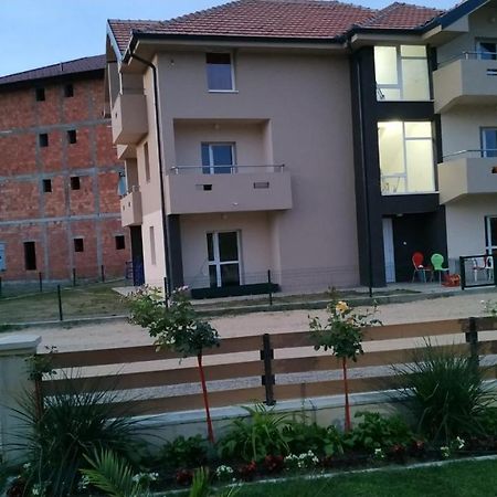Srebrna Nit Veliko Gradište Exterior foto